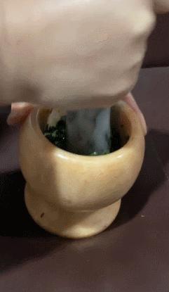 女子给狗狗用菠菜染色,女子自制菠菜汁给狗狗染发