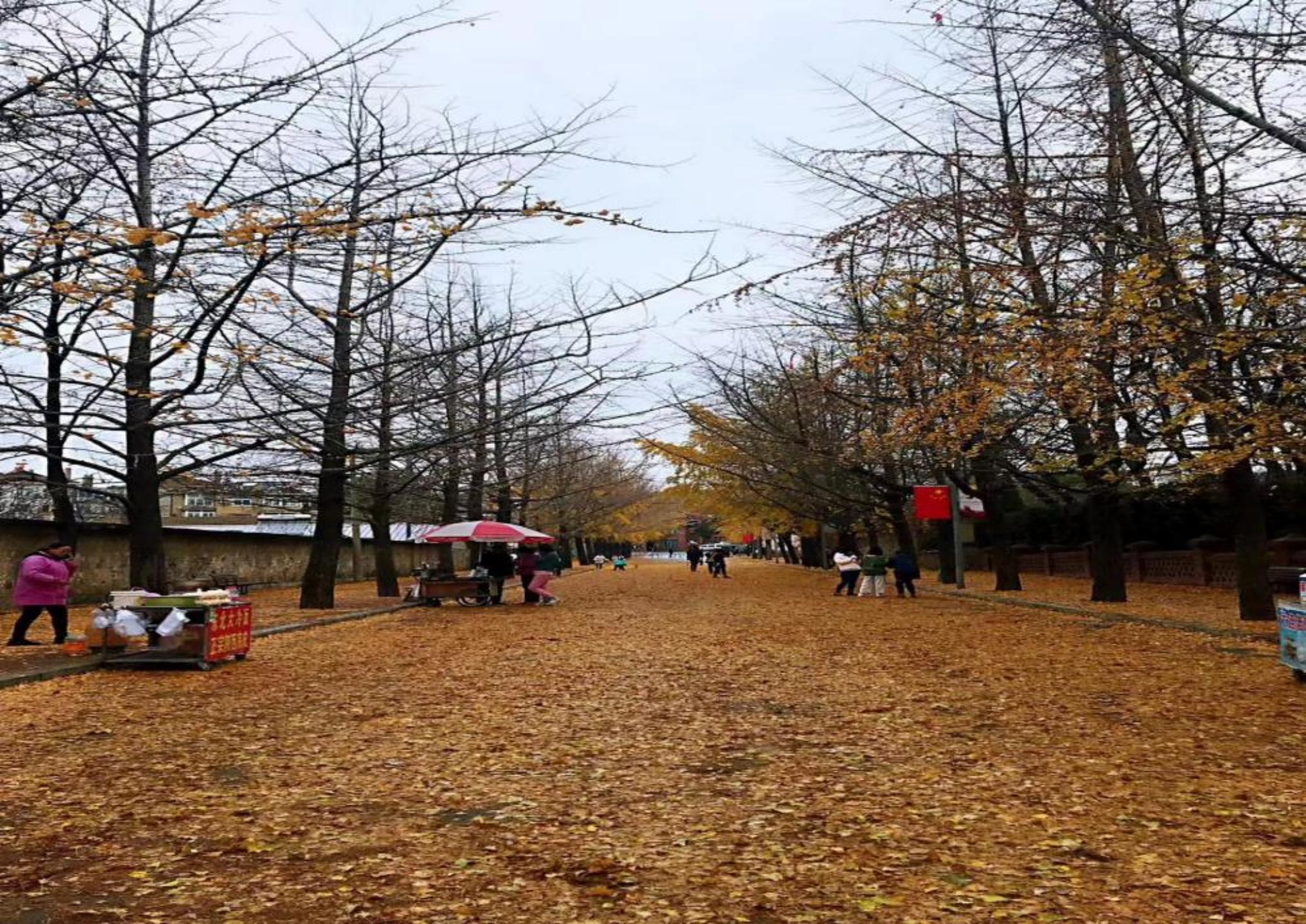 大连旅顺之旅,大连旅顺最值得去的地方