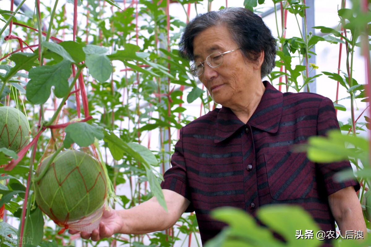 吃瓜群众也不好当，离不开一代人的努力，国人如何实现西瓜自由的