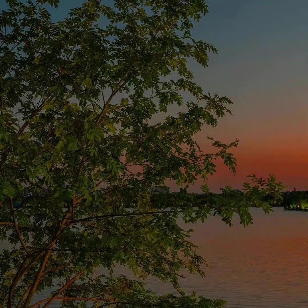 春日氛围感头像带背景图,春日已至头像图片