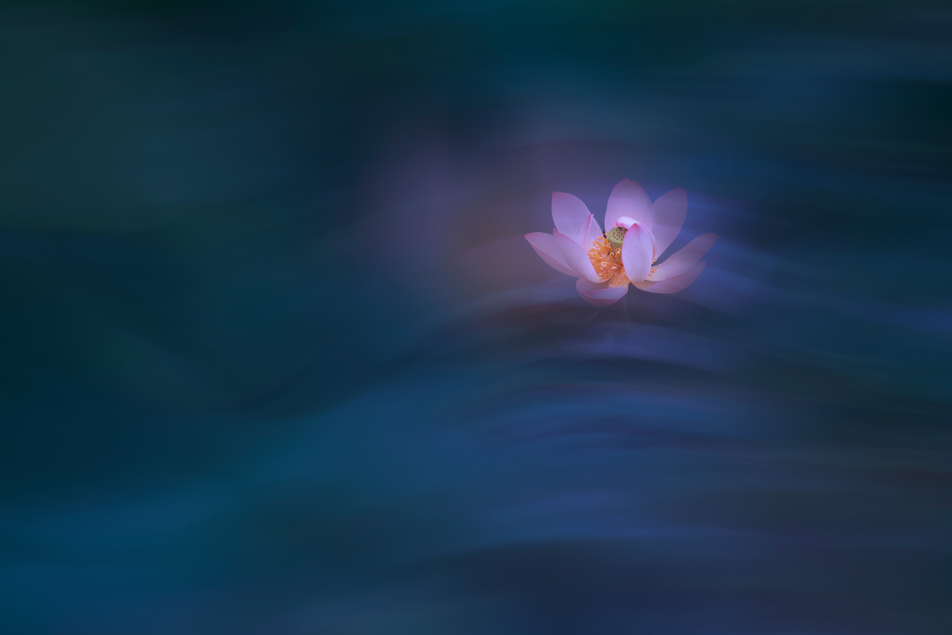 人生要懂得藏拙不能锋芒毕露,做人要懂得藏拙懂得收敛