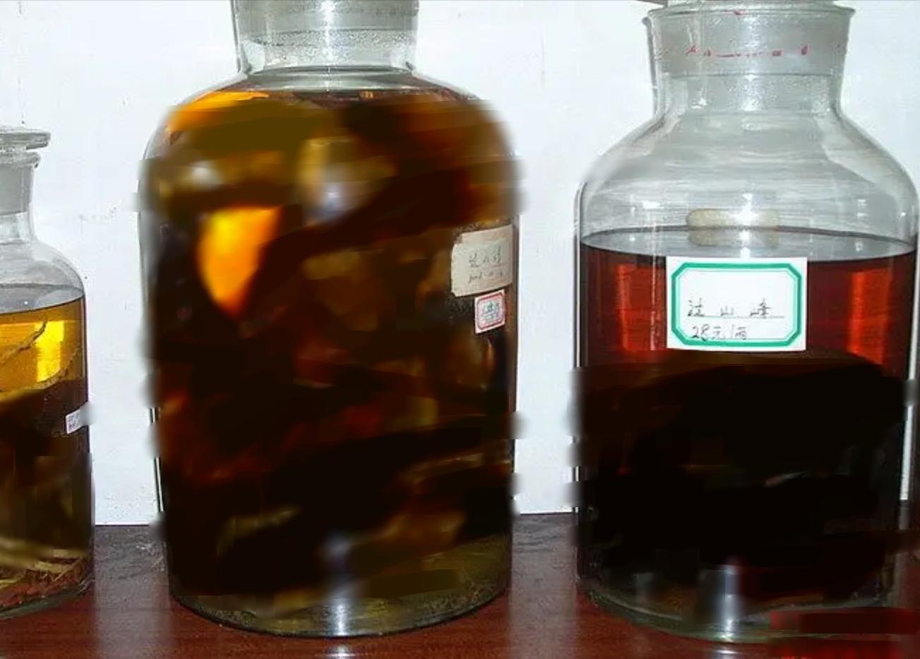 蛇泡酒一年后咬死人什么原理,蛇泡酒10年后咬死人是真的吗