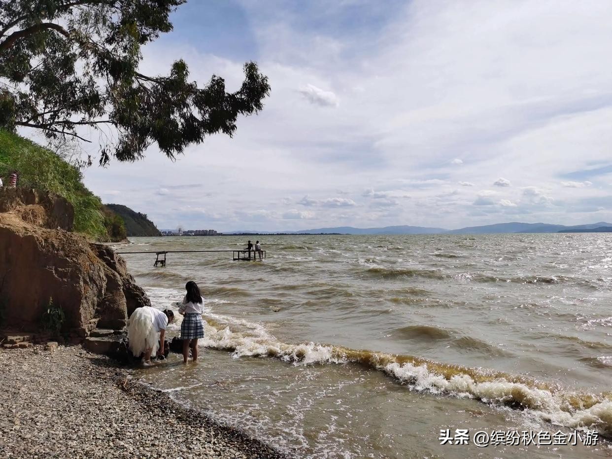 2022年昆明免费开放的景点,昆明轿子雪山这几天免费是真的吗