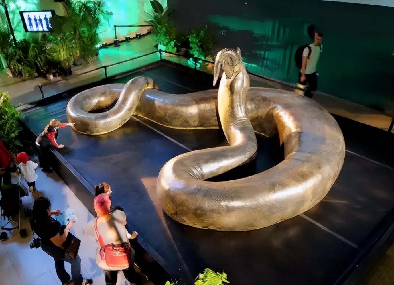 蛟龙真的存在吗,真的有蛟龙这种生物吗