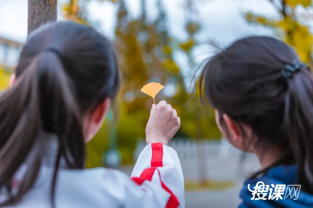 秋季限定|昆明九所学校，送你诗意校园里的一抹金