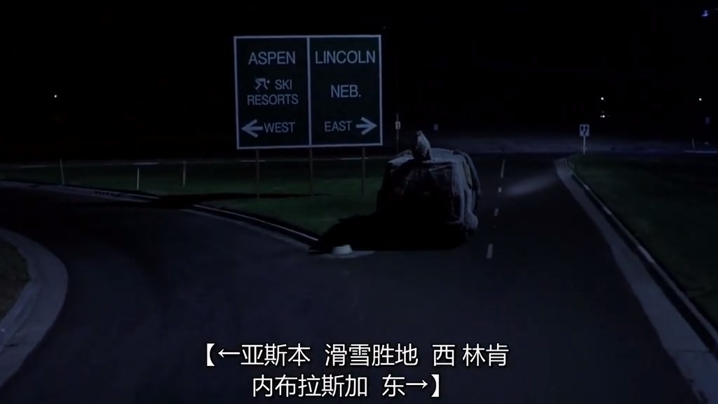 让人啼笑皆非的一部公路喜剧《阿呆与阿瓜》