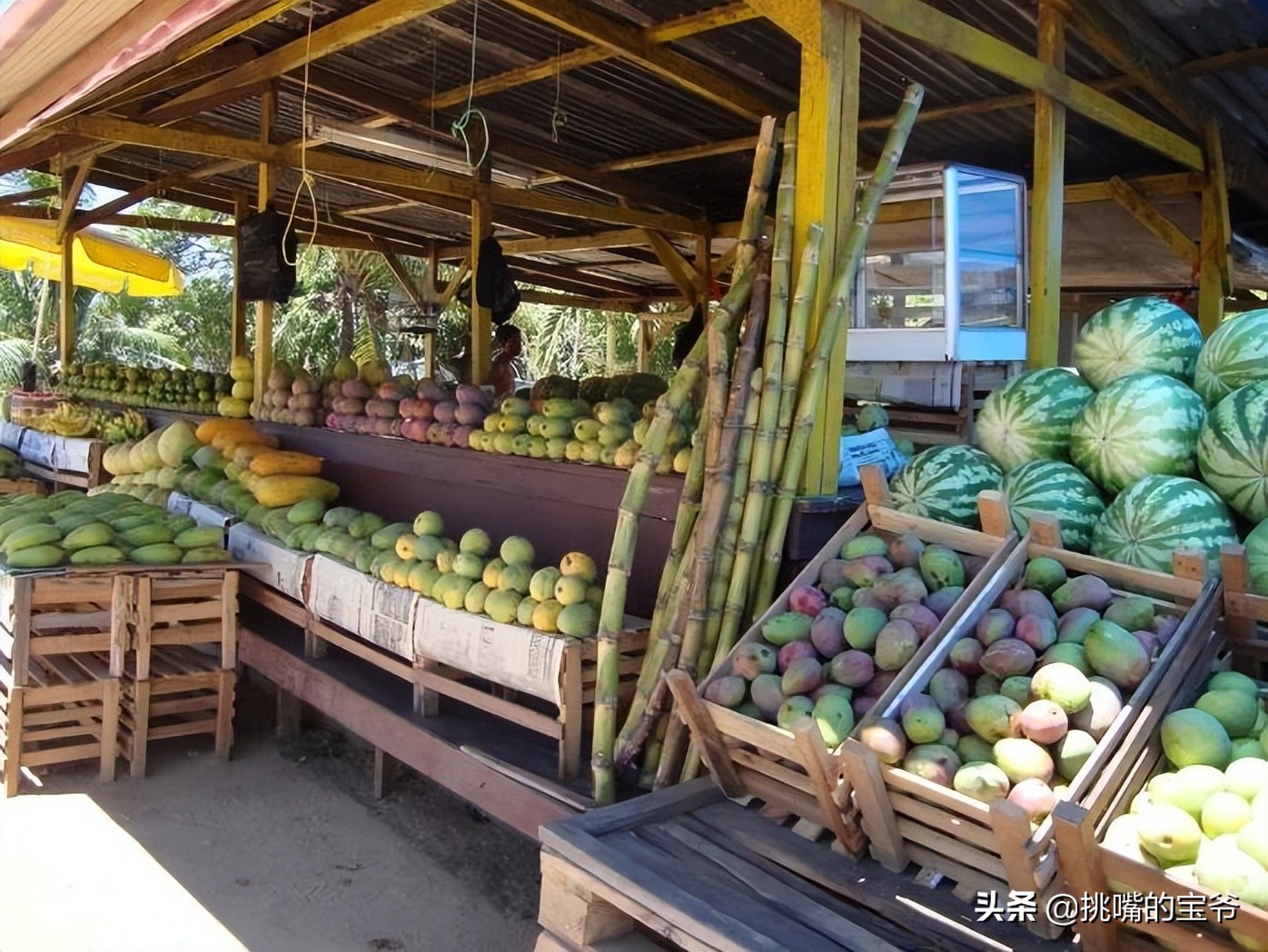 苏里南中国春节,苏里南的特色水果是什么