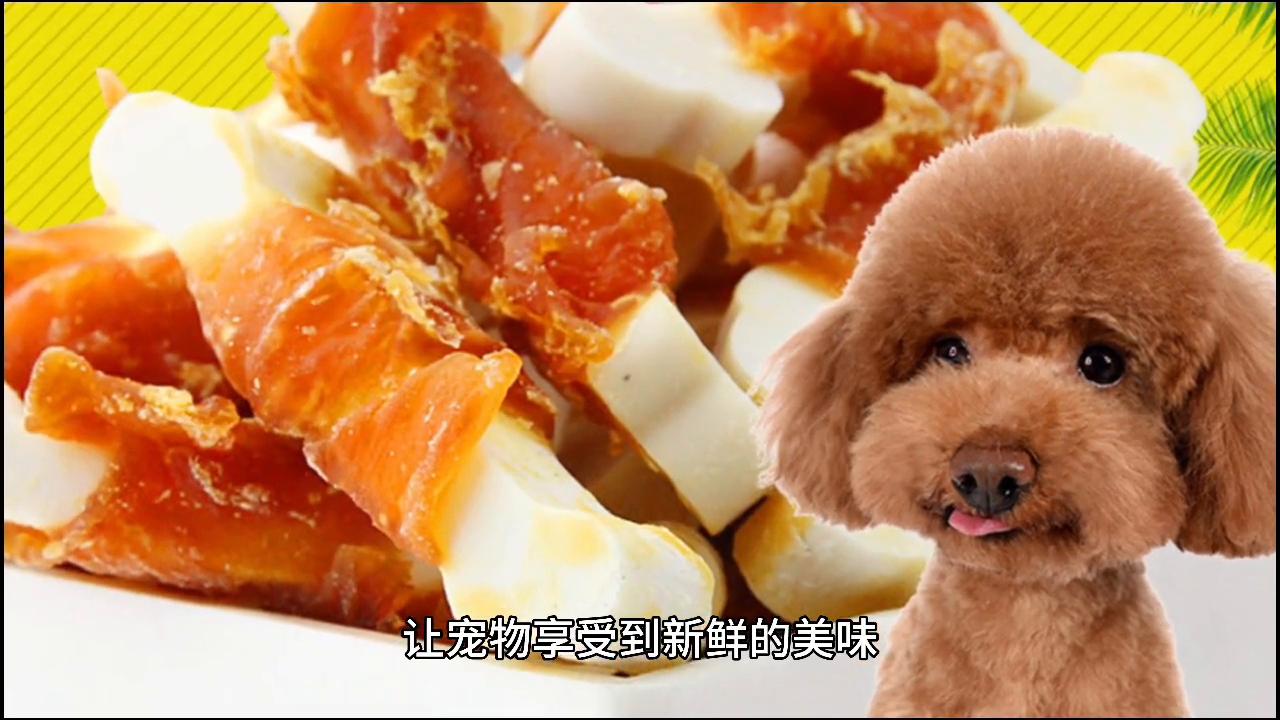 狗狗视频,狗狗可爱小视频