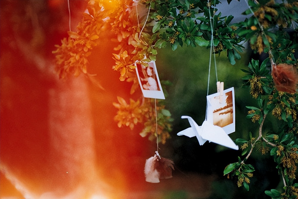 痛到心尖的句子,划过心尖感动的句子