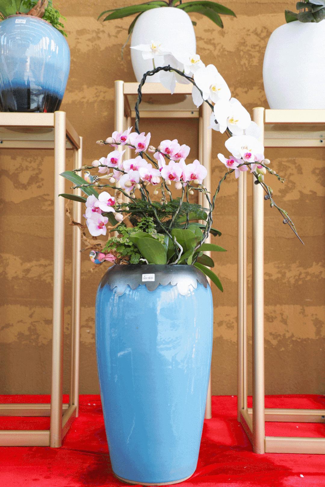 从化天人山水二日游,从化天人山水一日游攻略