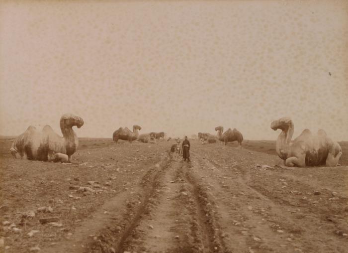 侵华日军*行暴**照片，女子为活命，脱下衣服让日本人拍摄*辱侮**
