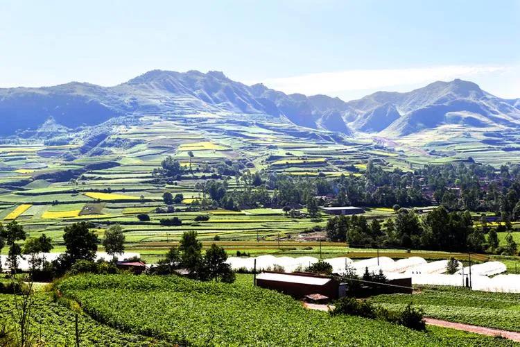 最独一无二的冷知识大全,中国唯一冷知识