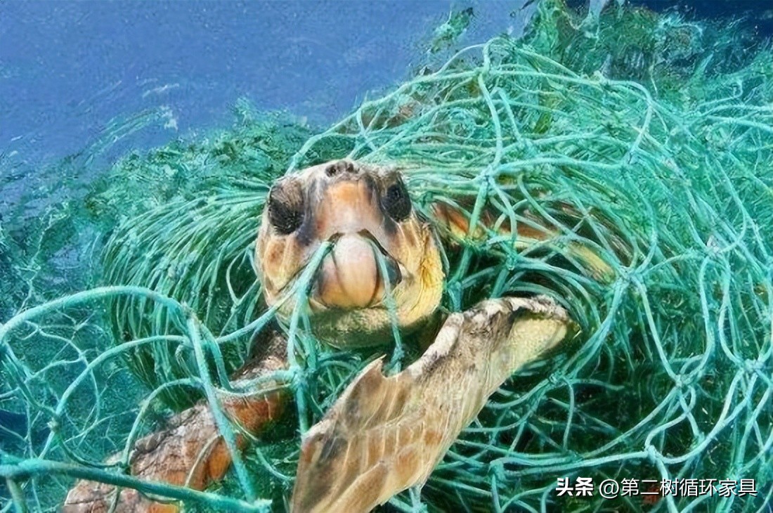 海洋元素的凳子,手工打造最简单的椅子