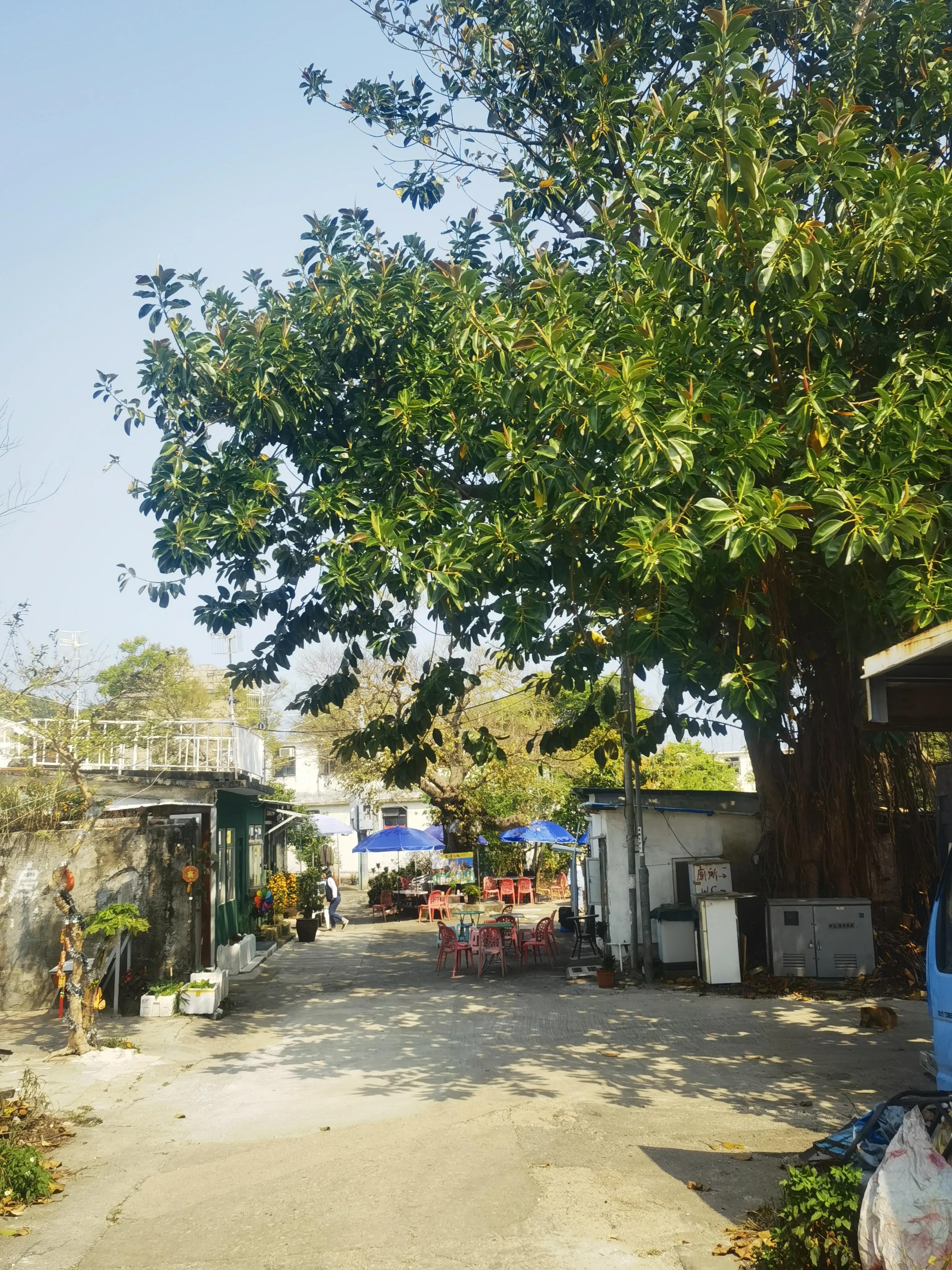 香港三日游和澳门一日游最佳线路,香港三日游最佳攻略