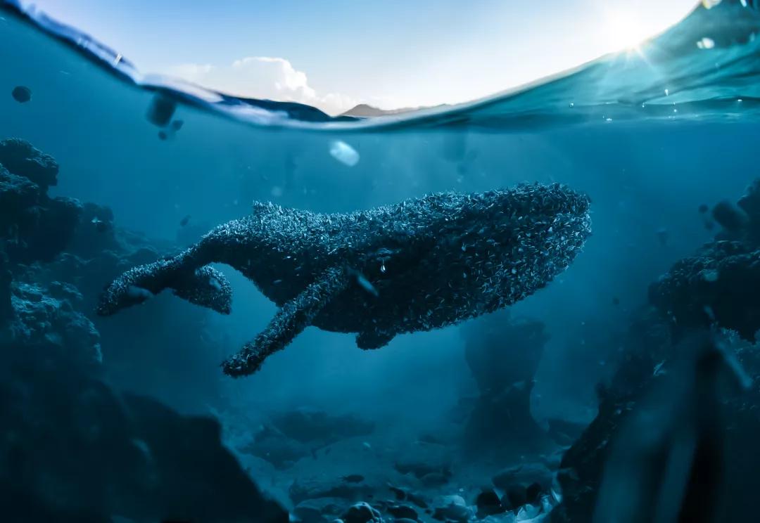 广告设计欣赏费尽心机的创意脑洞,广告设计欣赏有脑洞的广告更吸睛