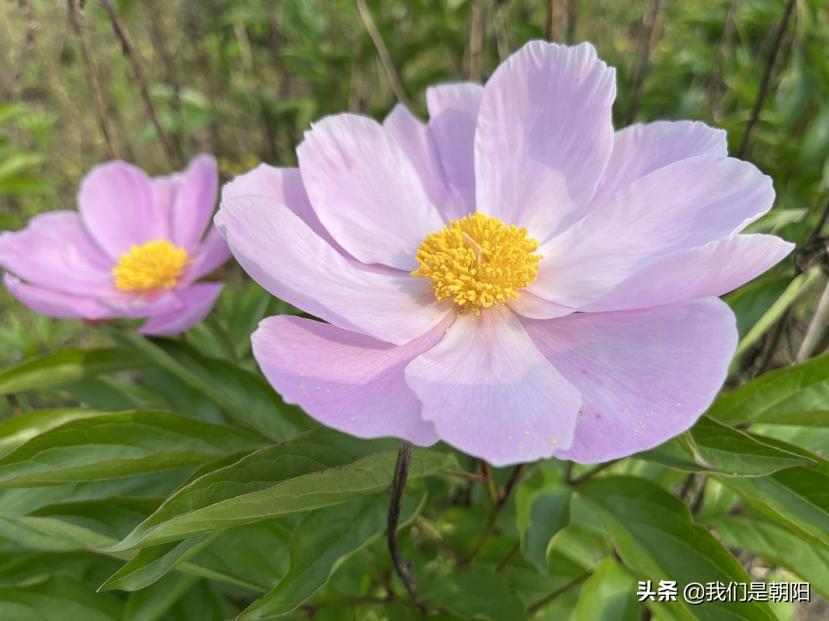 九嶷河国家湿地公园在哪里,九嶷河湿地公园