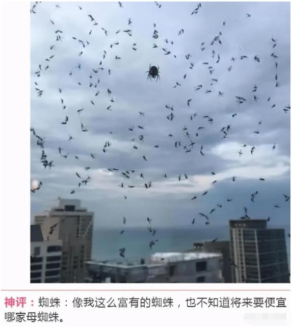 “女友闺蜜深夜约我看海，该注意啥？”