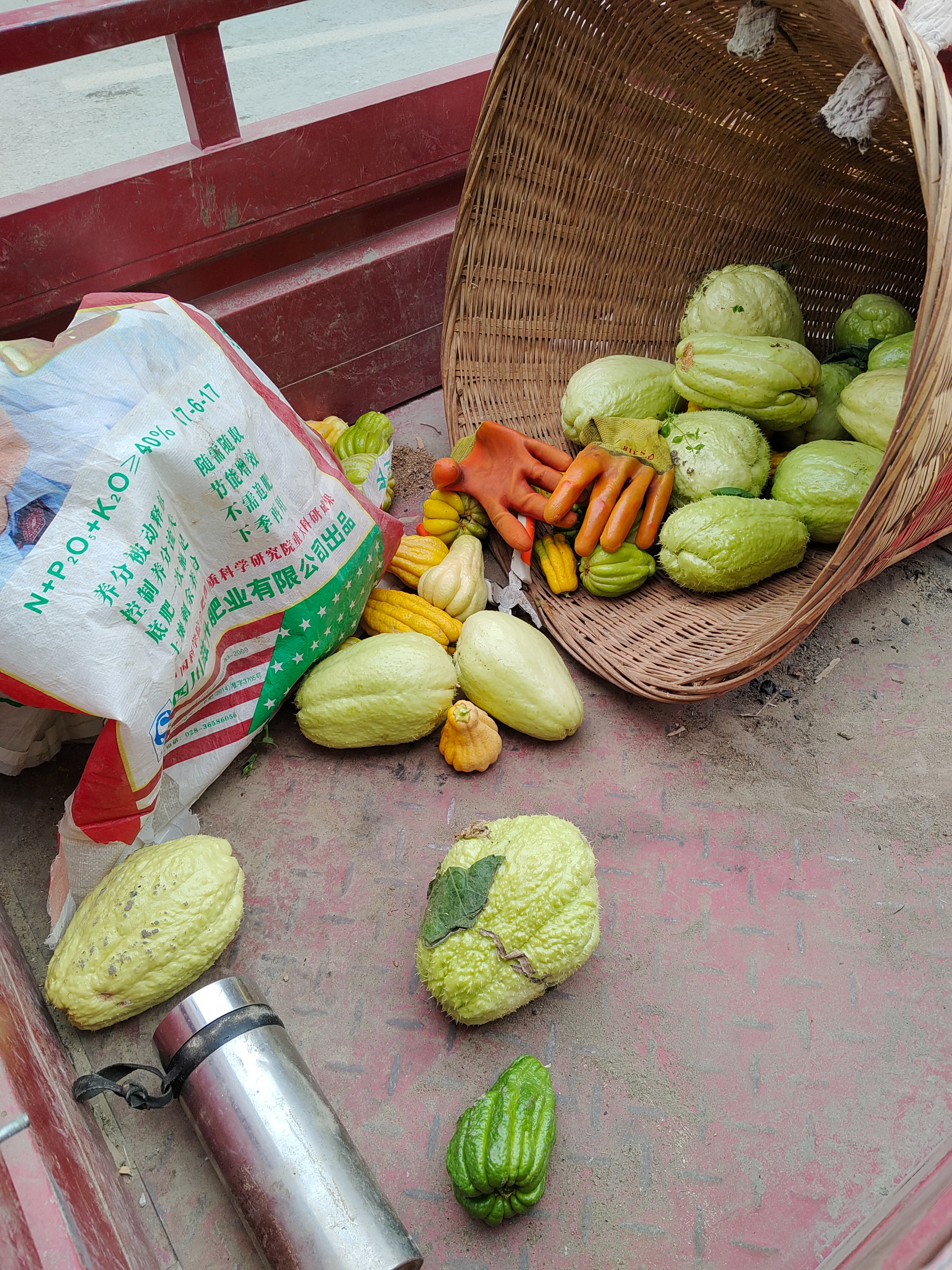 泸定地震三个月后：失联牧羊人和76只羊仍未找到，有村民失去年入几万的收入被迫租房，因物价贵一天吃2顿饭