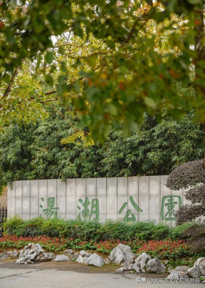 又美丽又好玩的地方,又美又惬意的旅游