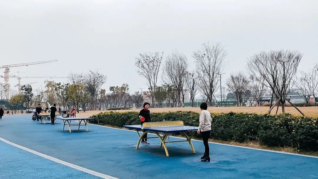 成都成华体育公园,成都成华区体育公园