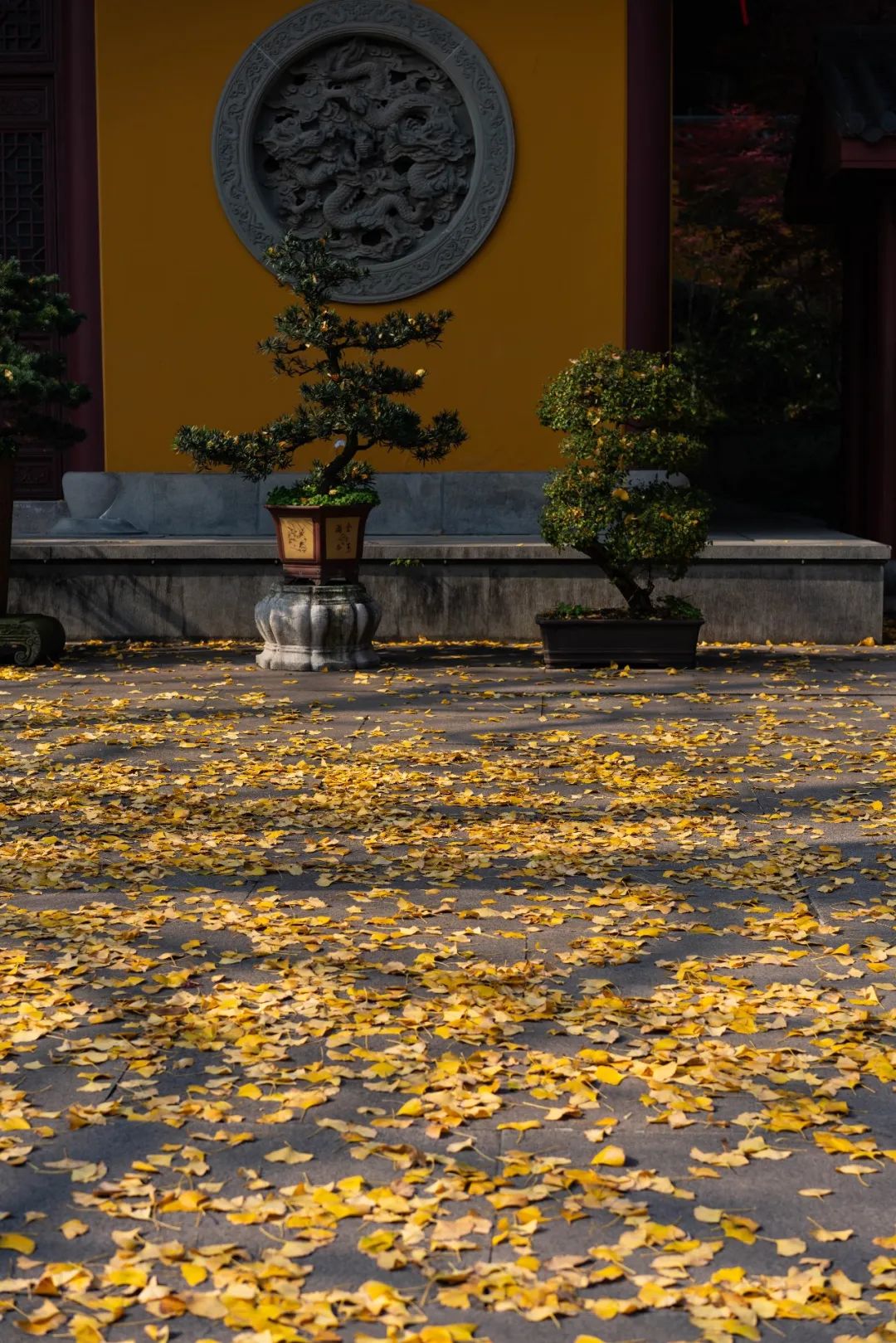 杭州秋日游攻略,杭州秋色上线这些赏秋地风景极佳