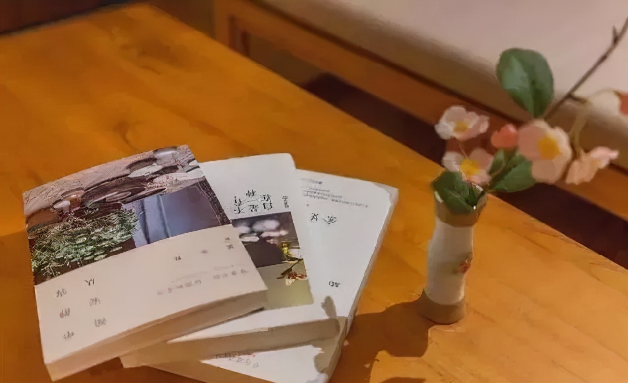 一个院子，一家民宿，闲度余生