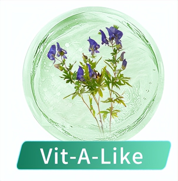 皮肤敏感选什么化妆品,皮肤敏感适合用什么产品