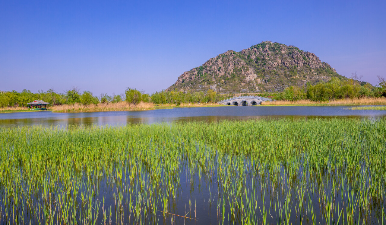 济南春季踏青免费景区,济南踏青的免费好去处腊山河公园