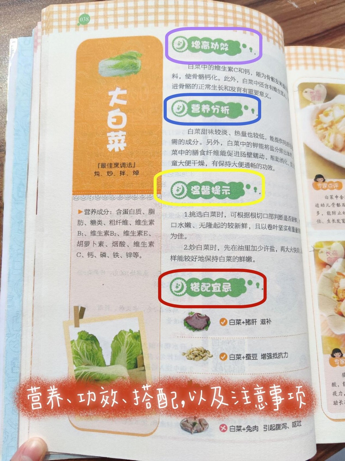 增高食物儿童,三种食物增高剂