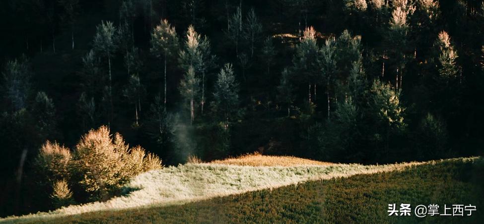 7月20号，神秘区域将举办神秘活动…