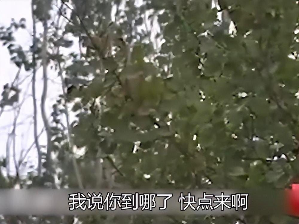 为满足丈夫处女情结,孕妇诱骗17岁少女至家中,伙同丈夫奸杀抛尸