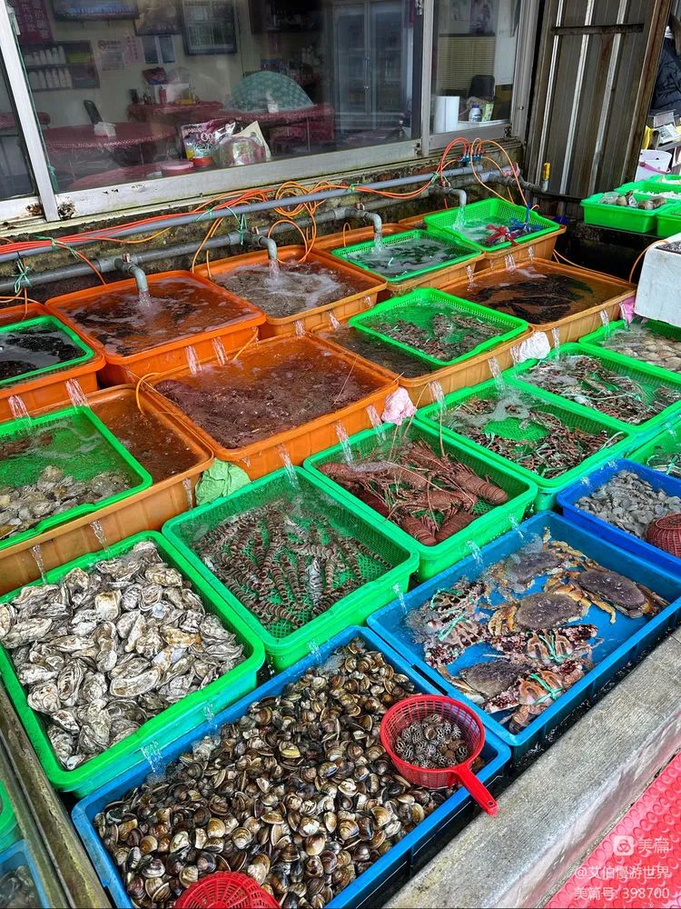 台湾初印象,台湾的初印象