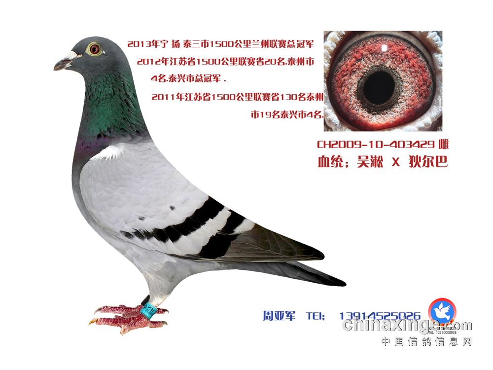 宁镇扬大赛,宁镇扬足球邀请赛