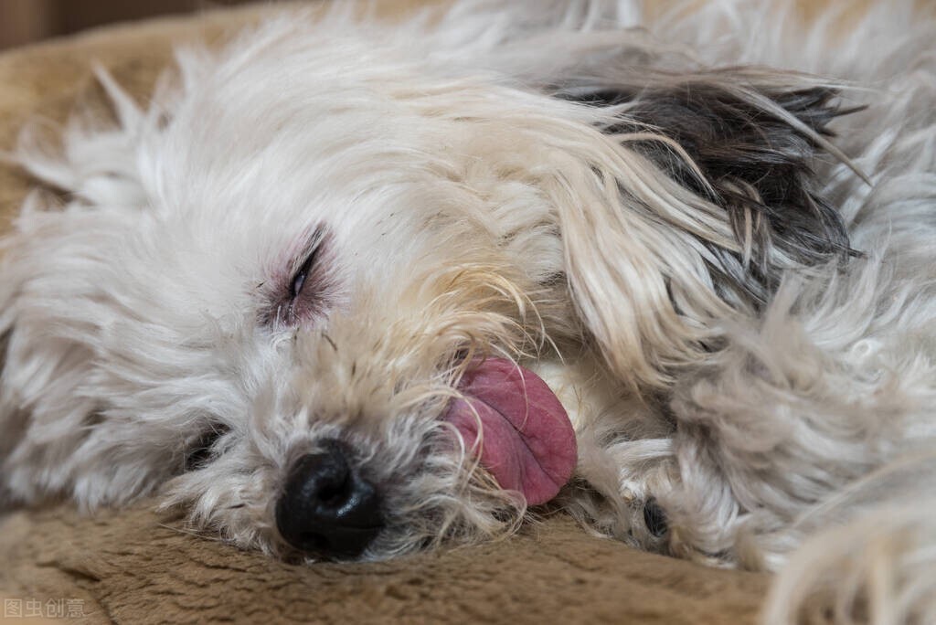 平顶山桃花源,平顶山桃花源的房子值得买吗