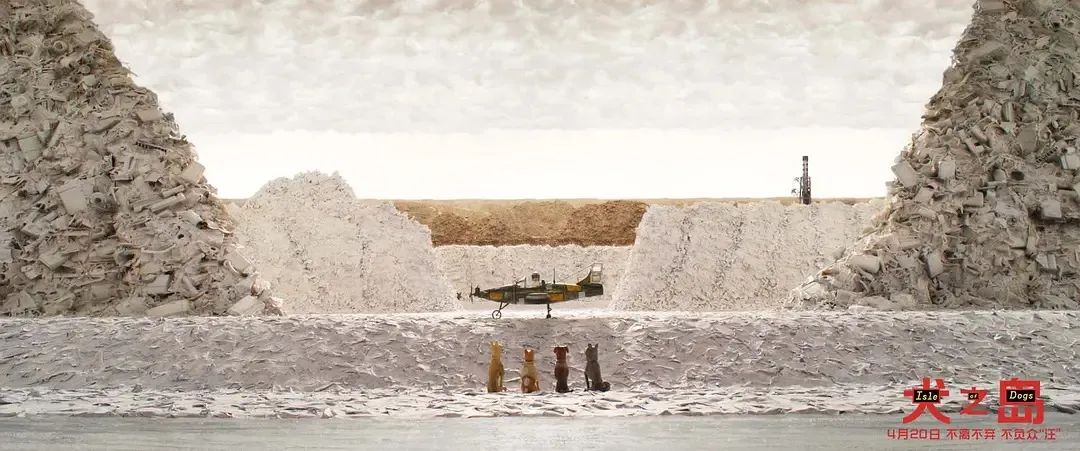 这个“垃圾大国”，真是让我开眼了