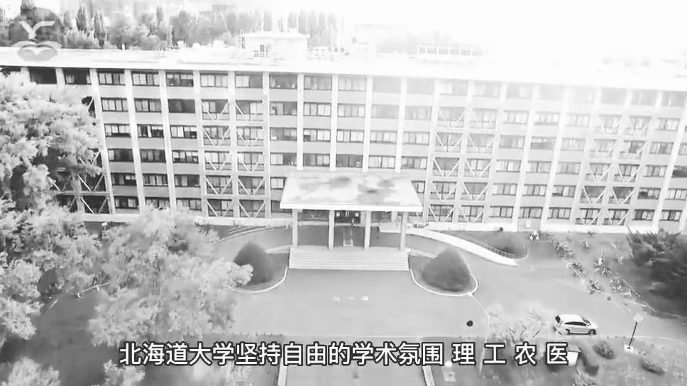 超级国际化大学计划,日本北海道大学全球排名