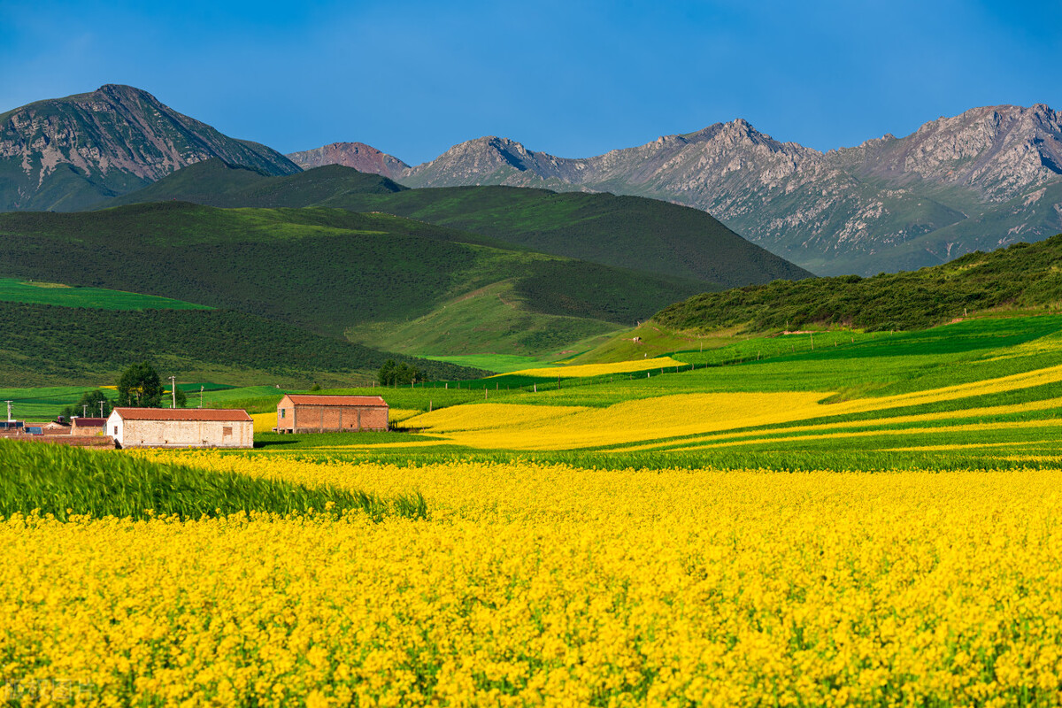 甘肃哪几个县划到青海了,甘肃青海有几个区