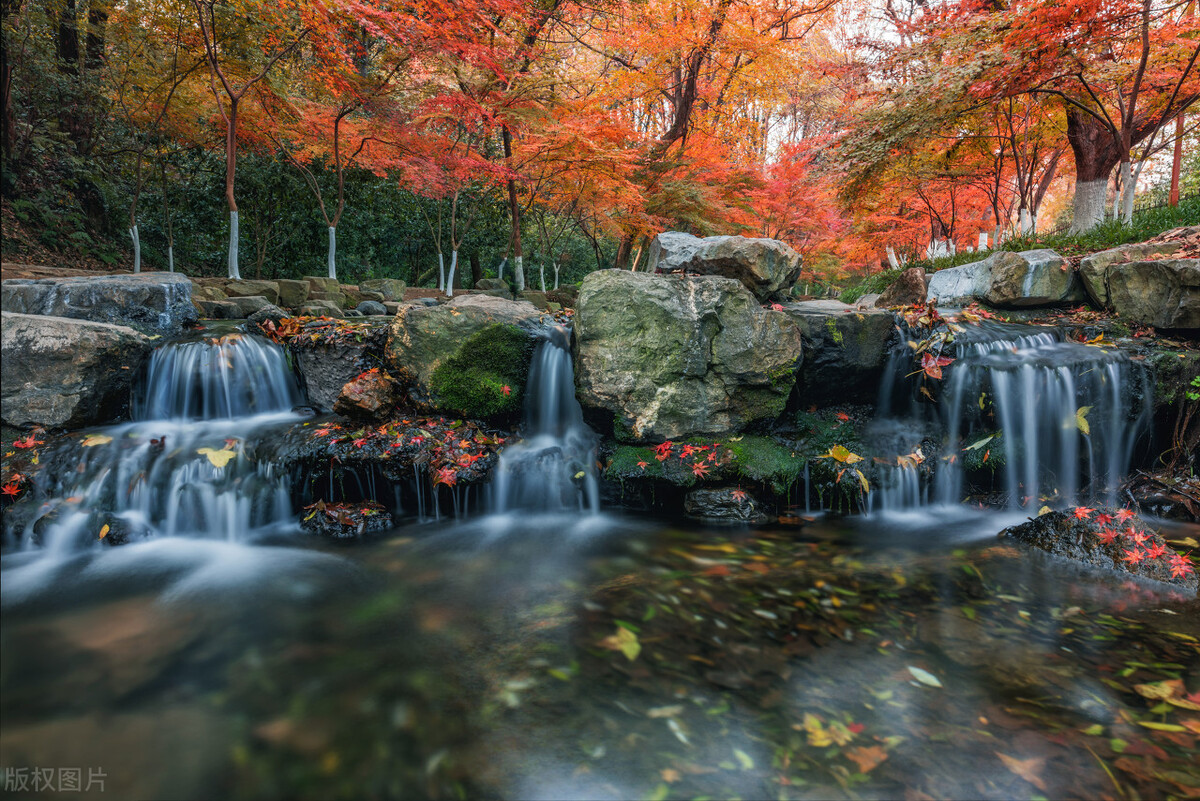 杭州旅游打卡必去景点推荐,最新杭州旅游攻略打卡必备景点