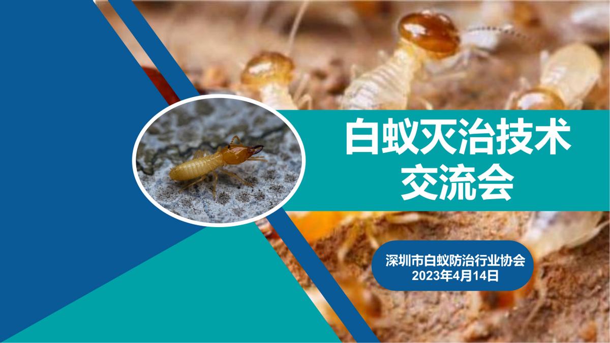 深圳白蚁防治行业标准,深圳白蚁防治的有效方法