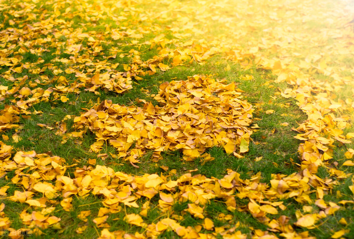 七十多岁牙一个都没掉,八十多岁不掉牙