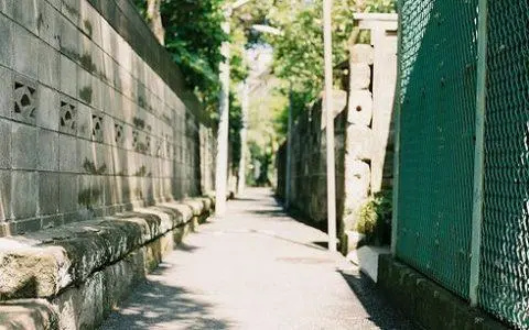 墙倒众人推截图,墙倒众人推现场视频