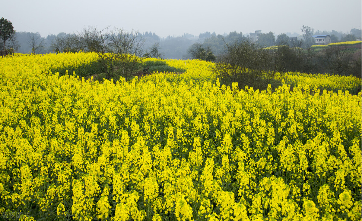 四川地理位置及简介,四川行政区划演变史