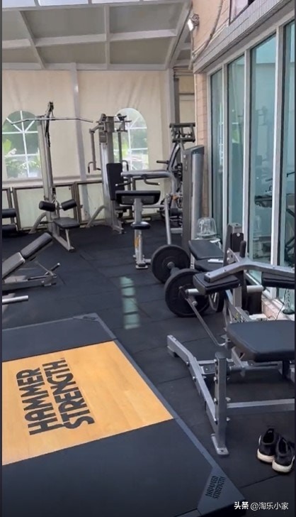 沈震轩直播,沈震轩综艺节目