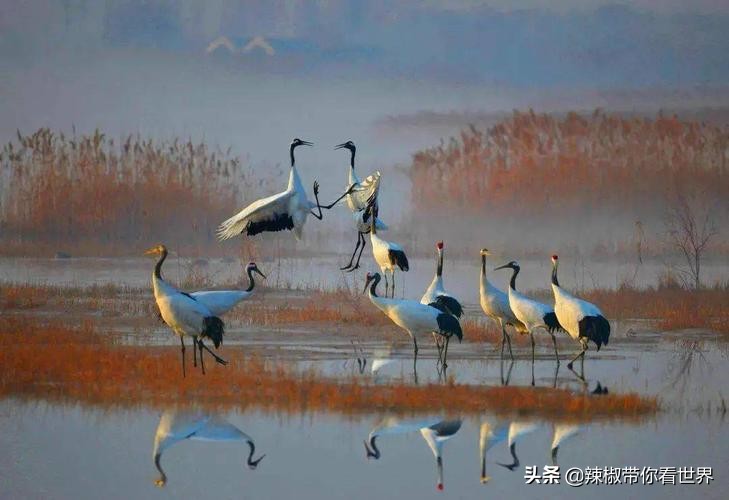 盐城最大的海边城市,盐城海岸线为何一直延伸