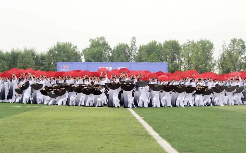 驻马店足球市长杯小学组,驻马店市第六届足球赛