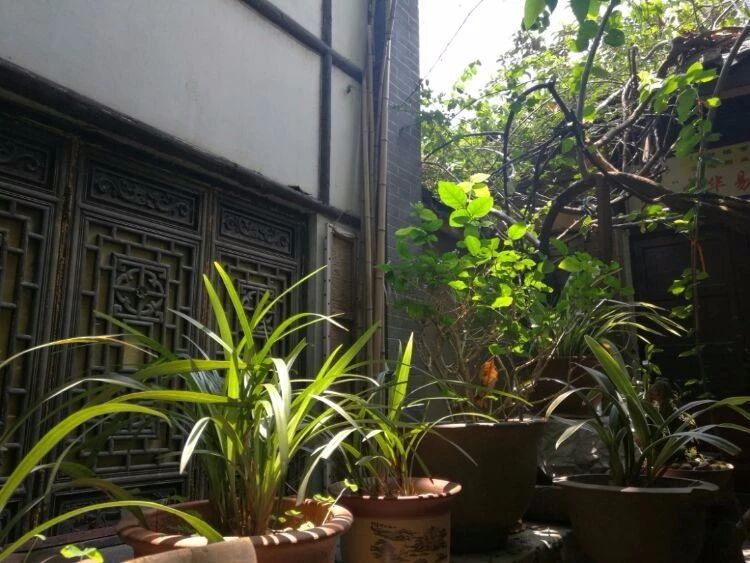 鏂囧湥鑼惰瘽,鏂囪儨鑼惰