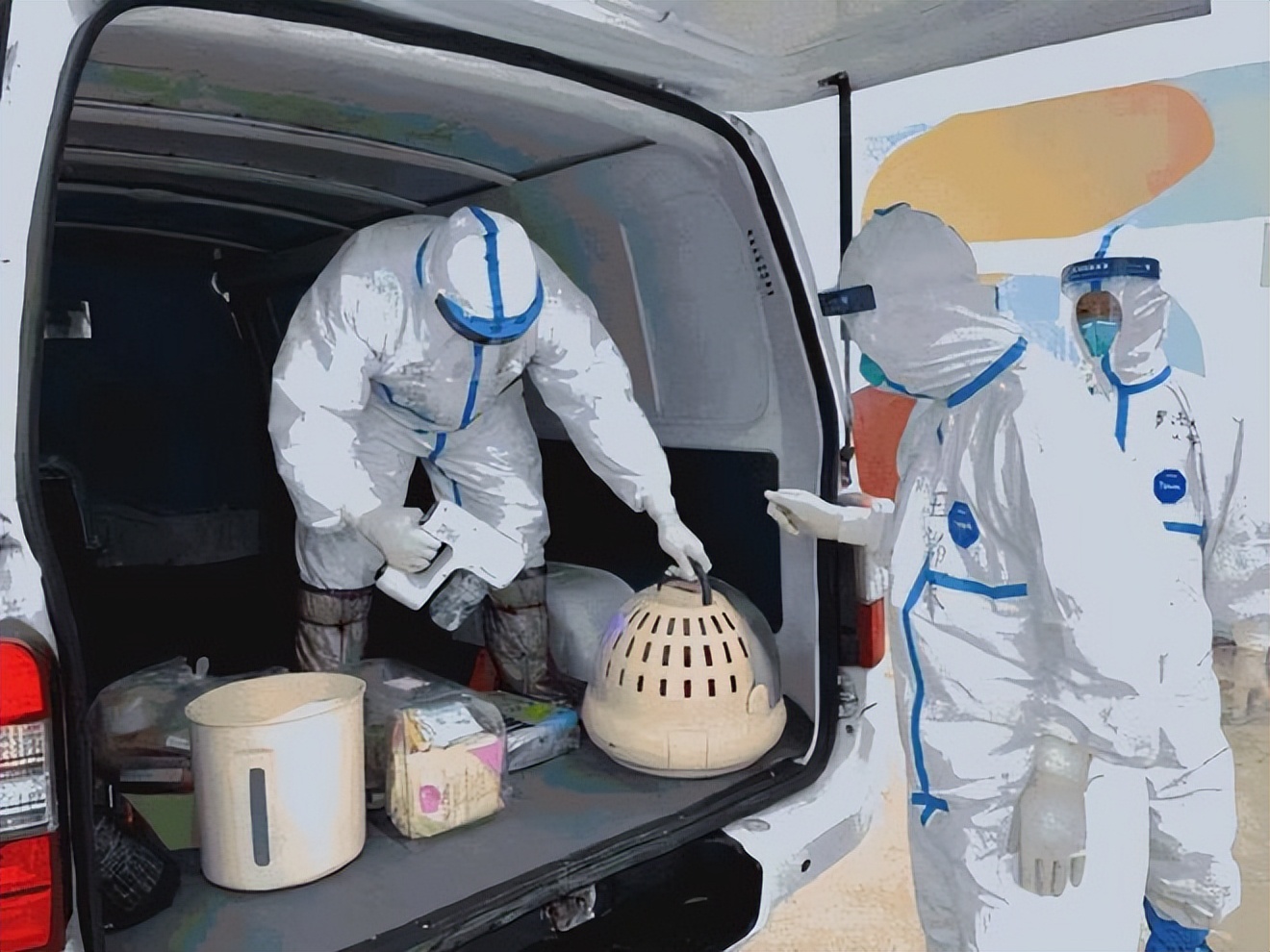 京东大花臂,京东迎来首位女掌舵者