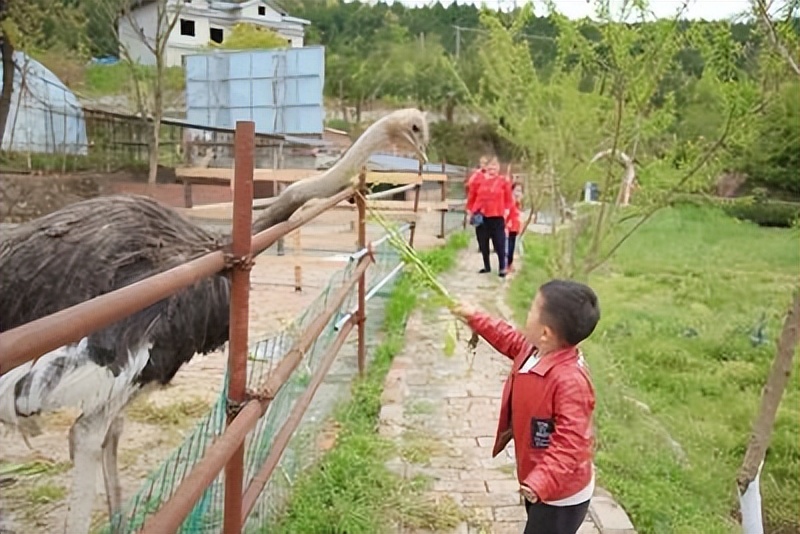 来农家乐的乐趣,来山水农家享受大自然的美景