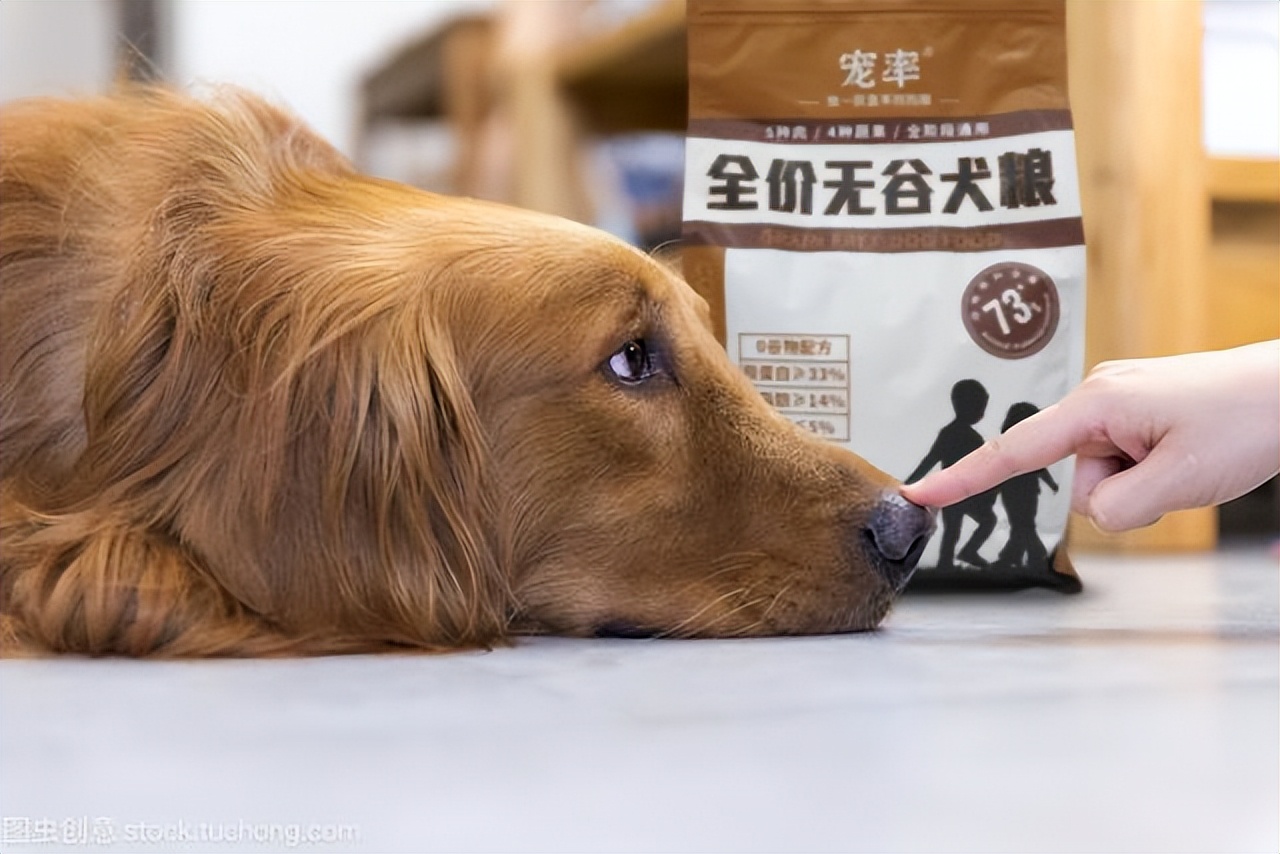 拉布拉多狗粮品牌推荐,大型犬狗粮什么品牌好一点