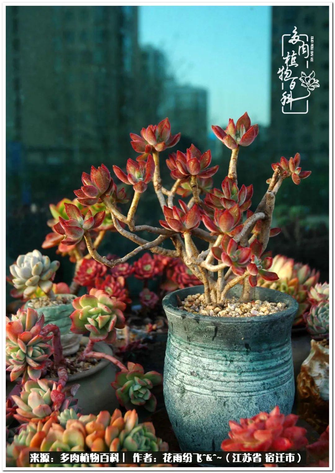 快乐的童年时光视频,回味快乐的童年美好的时光